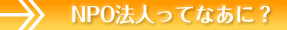 NPOˡ�ͤäƤʤ��ˡ�