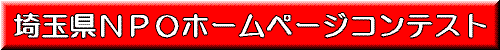 ��ʌ�NPO�z�[���y�[�W�R���e�X�g