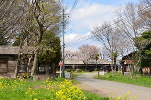 解体前の飛行学校全景