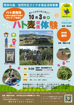 チラシ画像(ハト麦収穫体験)